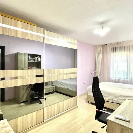 Sunny In Apartment